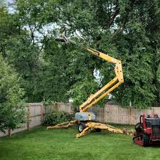  , USA Tree Removal Services Pros